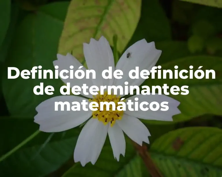Definición de definición de determinantes matemáticos