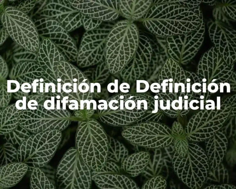 Definición de Definición de difamación judicial