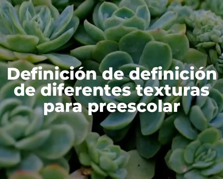 Definición de definición de diferentes texturas para preescolar