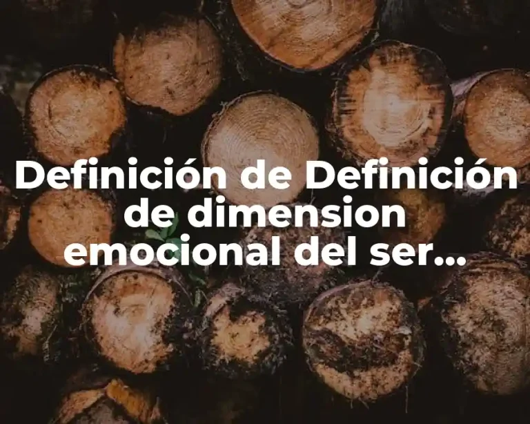 Definición de Definición de dimension emocional del ser humano
