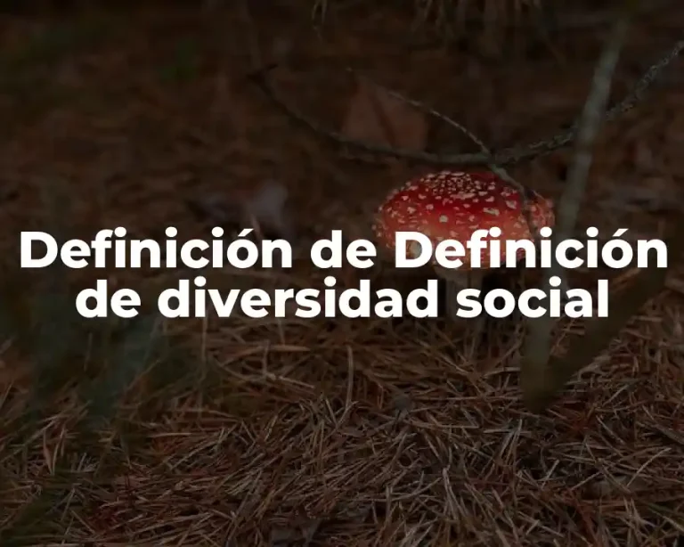 Definición de Definición de diversidad social