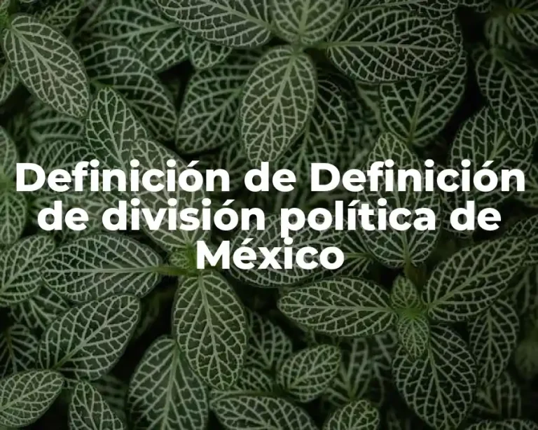 Definición de Definición de división política de México