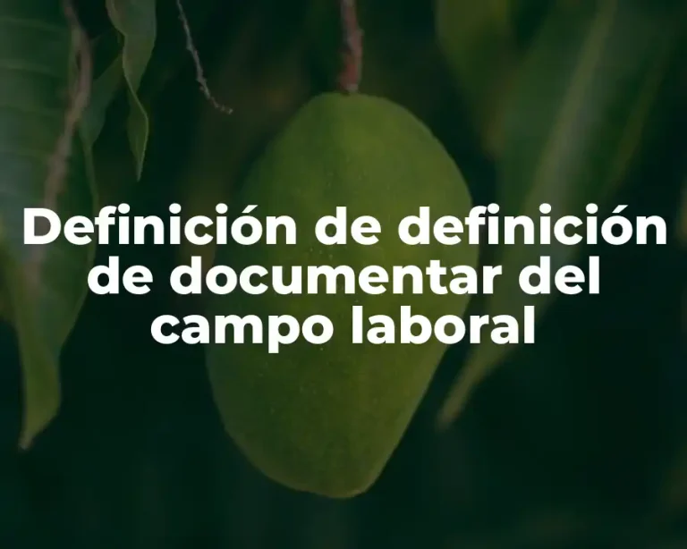 Definición de definición de documentar del campo laboral