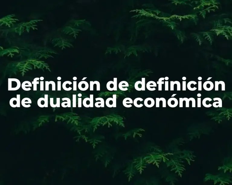 Definición de definición de dualidad económica
