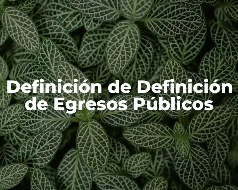 Definición de Definición de Egresos Públicos