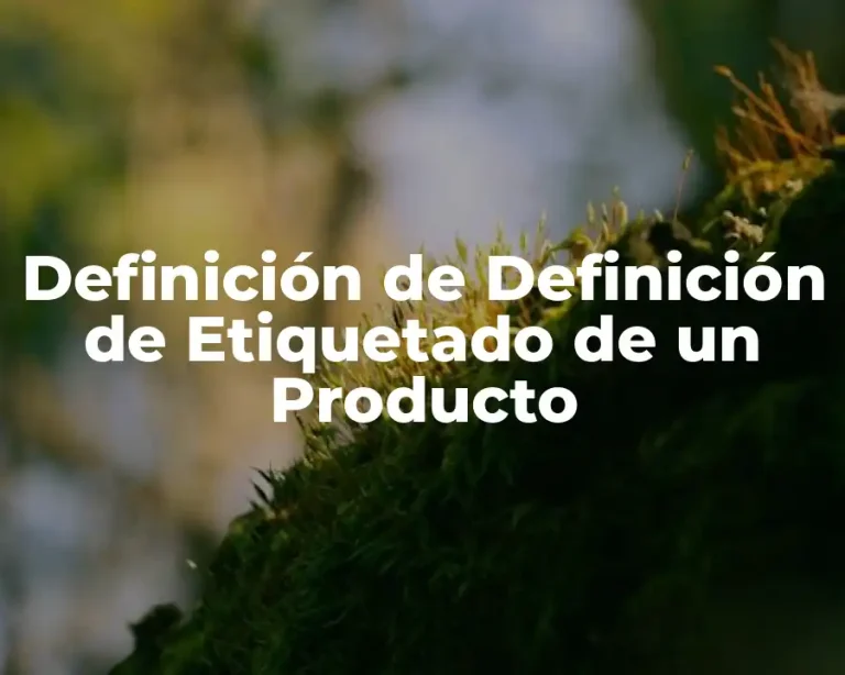 Definición de Definición de Etiquetado de un Producto