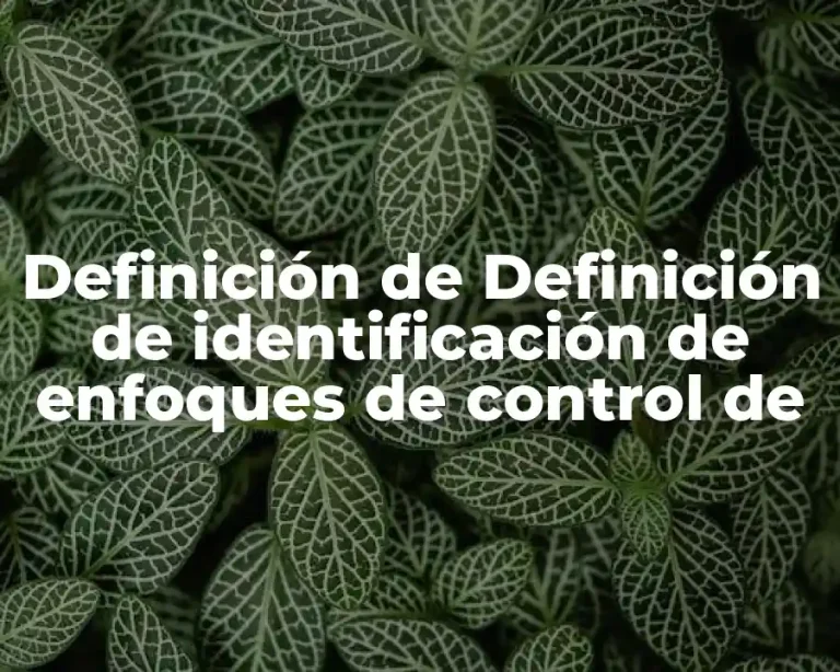 Definición de Definición de identificación de enfoques de control de