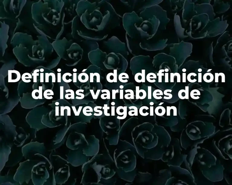 Definición de definición de las variables de investigación