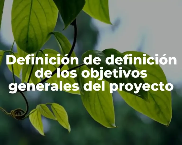 Definición de definición de los objetivos generales del proyecto