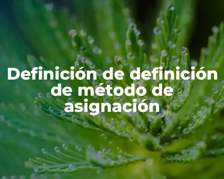 Definición de definición de método de asignación