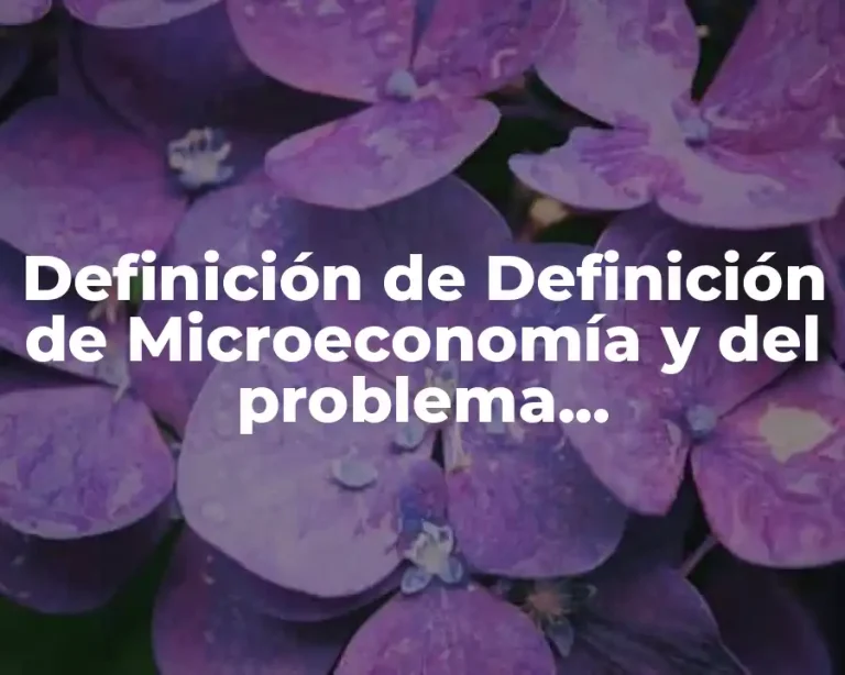 Definición de Definición de Microeconomía y del problema microeconómico