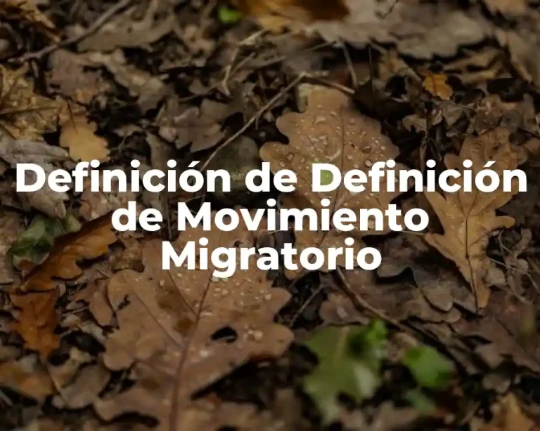 Definición de Definición de Movimiento Migratorio