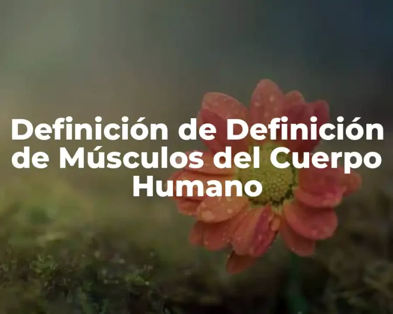 Definición de Definición de Músculos del Cuerpo Humano