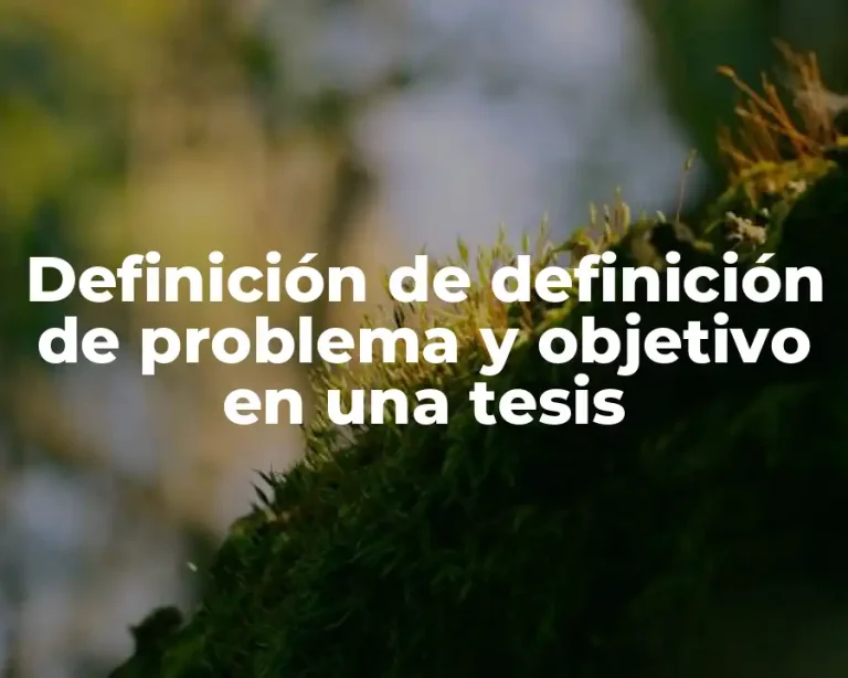 Definición de definición de problema y objetivo en una tesis