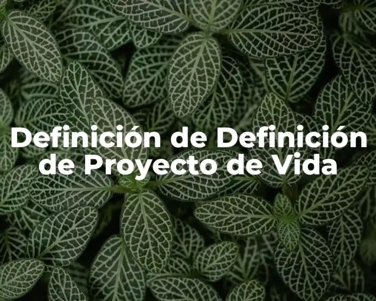 Definición de Definición de Proyecto de Vida