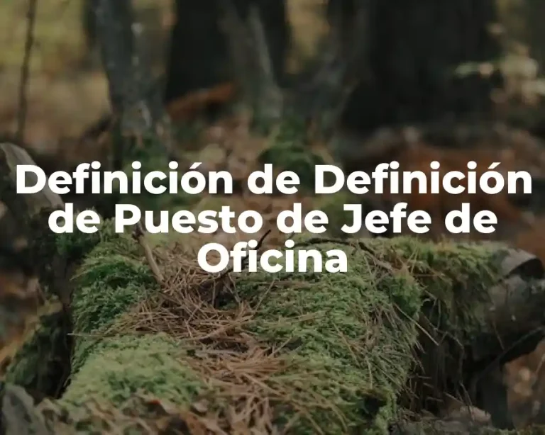 Definición de Definición de Puesto de Jefe de Oficina