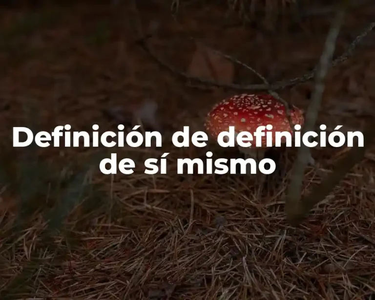 Definición de definición de sí mismo