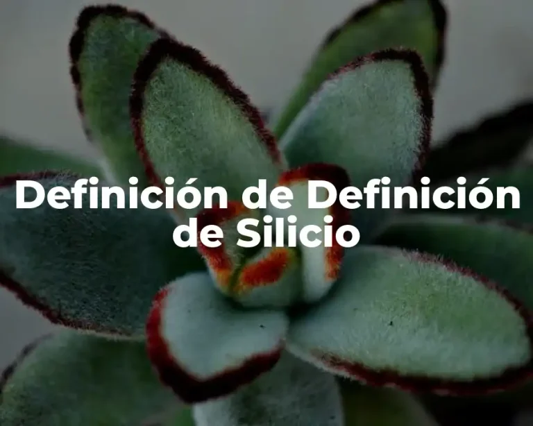 Definición de Definición de Silicio