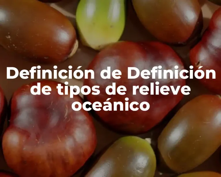 Definición de Definición de tipos de relieve oceánico