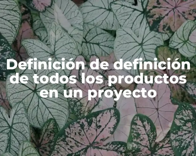 Definición de definición de todos los productos en un proyecto