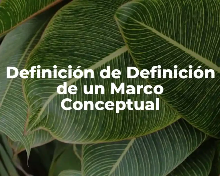 Definición de Definición de un Marco Conceptual
