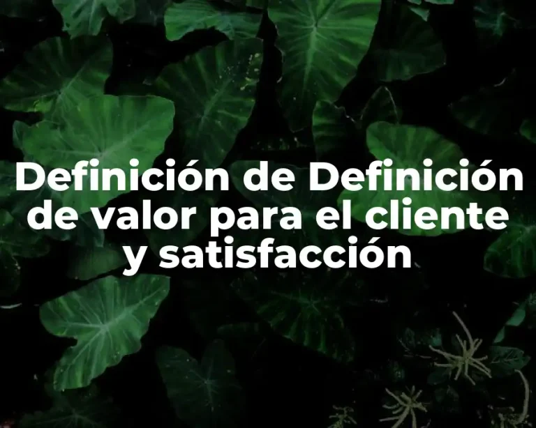 Definición de Definición de valor para el cliente y satisfacción