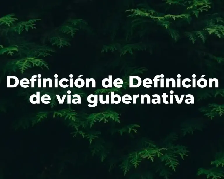 Definición de Definición de via gubernativa