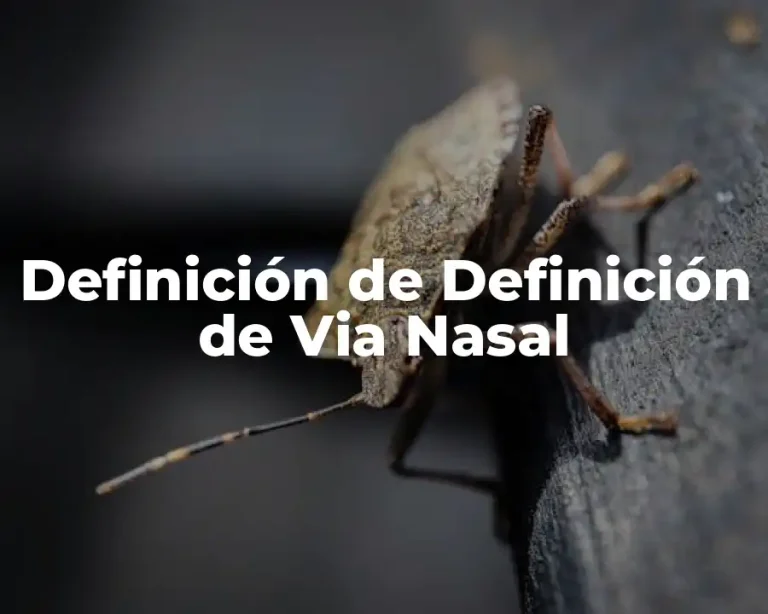 Definición de Definición de Via Nasal