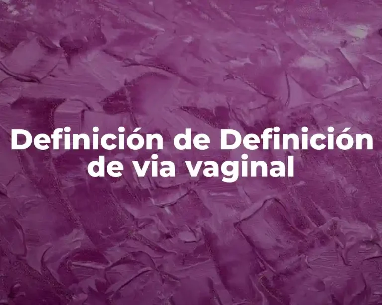 Definición de Definición de via vaginal