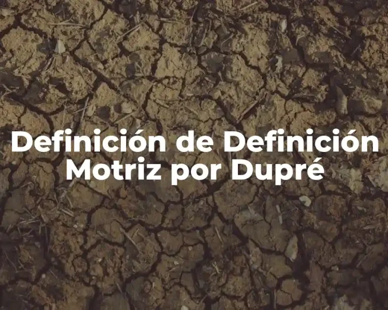 Definición de Definición Motriz por Dupré