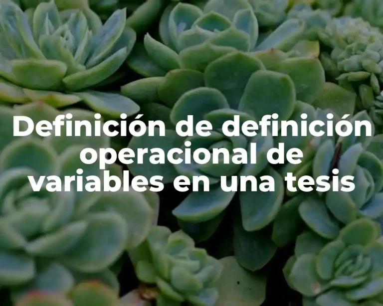 Definición de definición operacional de variables en una tesis
