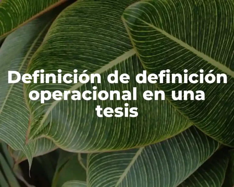 Definición de definición operacional en una tesis