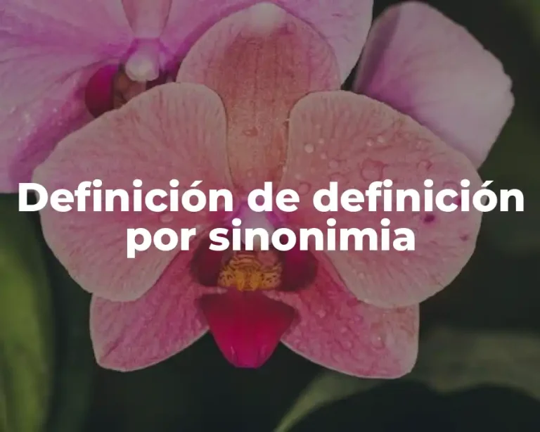 Definición de definición por sinonimia