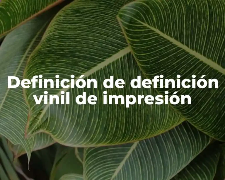 Definición de definición vinil de impresión