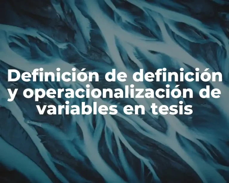 Definición de definición y operacionalización de variables en tesis