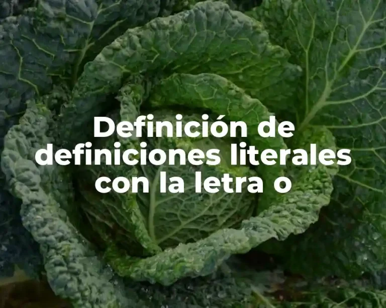 Definición de definiciones literales con la letra o