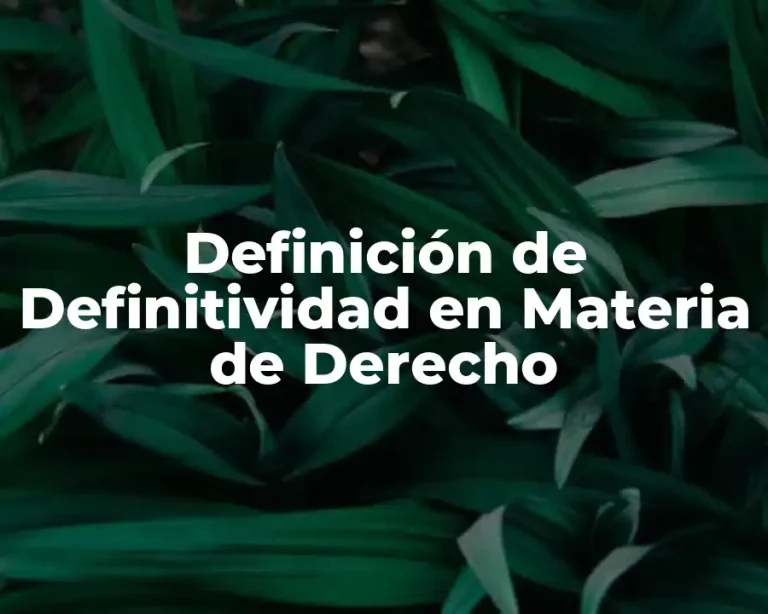 Definición de Definitividad en Materia de Derecho