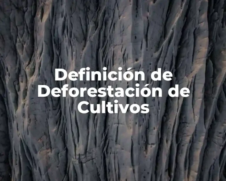 Definición de Deforestación de Cultivos