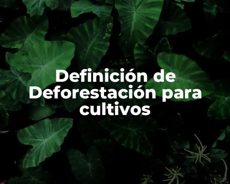 Definición de Deforestación para cultivos