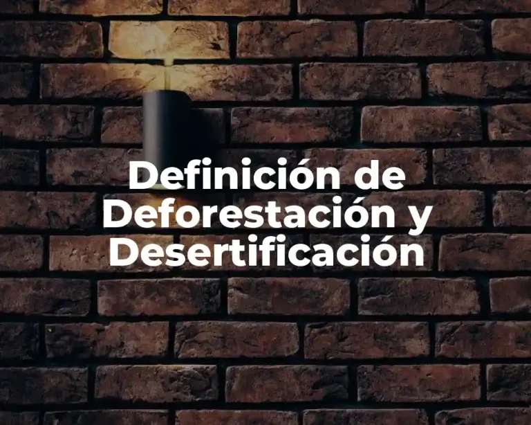 Definición de Deforestación y Desertificación