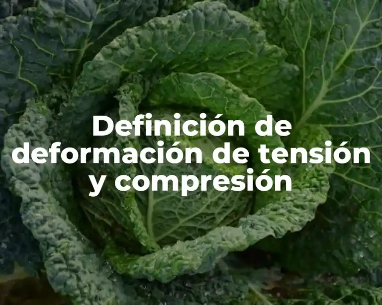 Definición de deformación de tensión y compresión