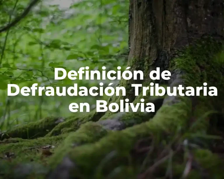 Definición de Defraudación Tributaria en Bolivia