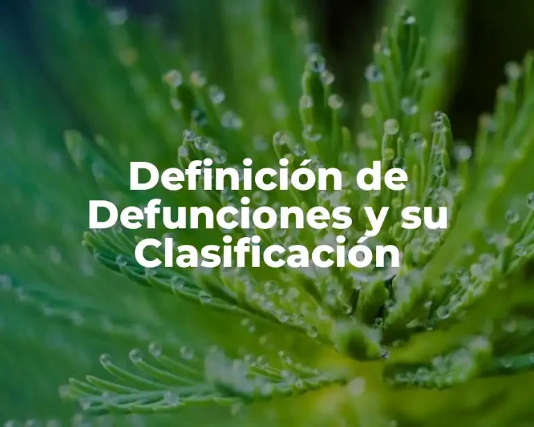 Definición de Defunciones y su Clasificación