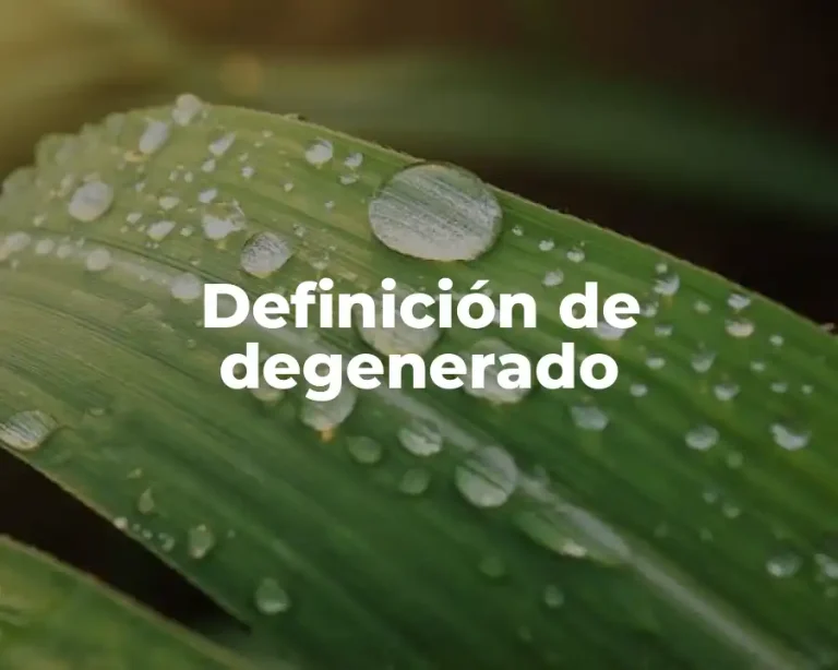 Definición de degenerado