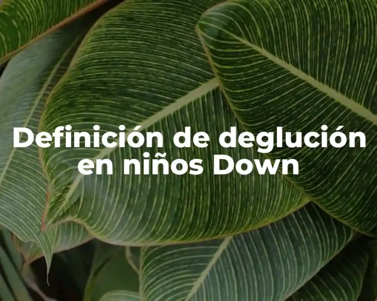 Definición de deglución en niños Down
