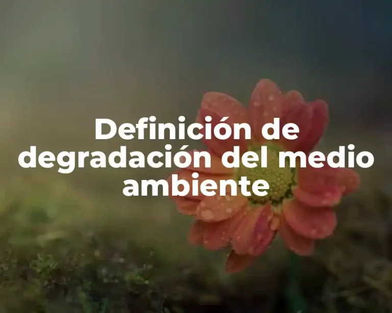 Definición de degradación del medio ambiente