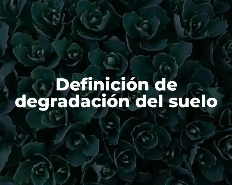 Definición de degradación del suelo