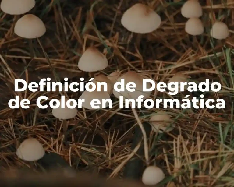 Definición de Degrado de Color en Informática