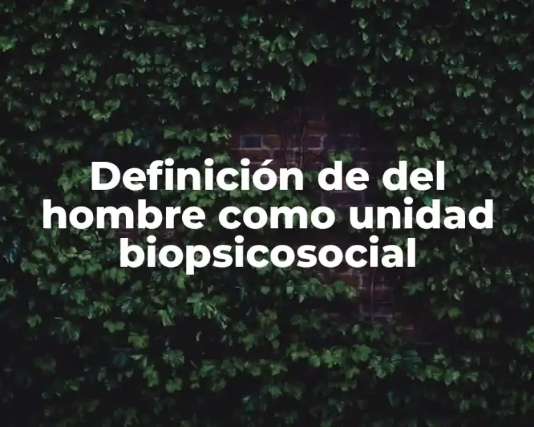 Definición de del hombre como unidad biopsicosocial