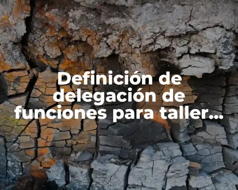 Definición de delegación de funciones para taller arquitectónico